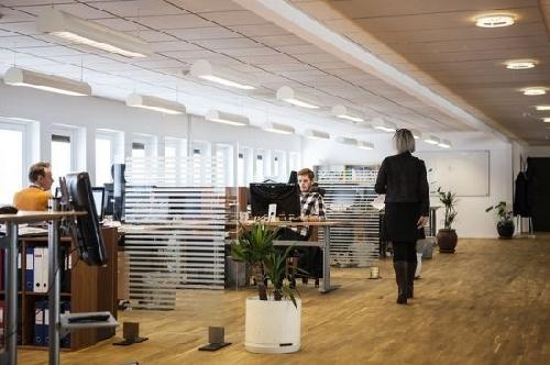 Entidades y empresas