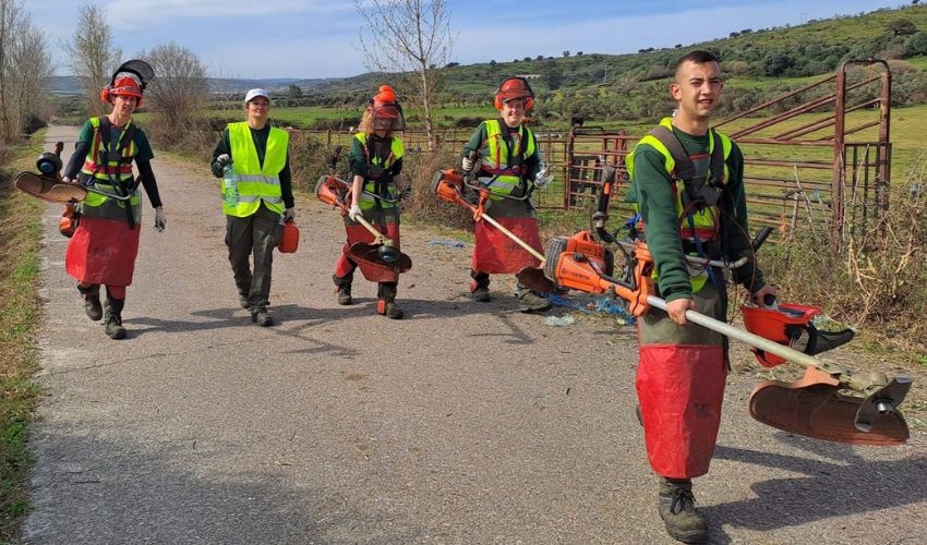 Ir a Subvenciones a la contratación de participantes en proyectos de los Programas Colaborativo Rural y Escuelas Profesionales