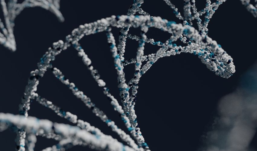 Ir a Difusión de ofertas de empleo para el Proyecto Medea en Badajoz