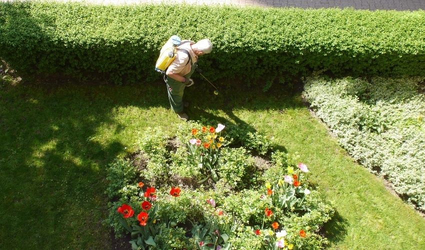 Ir a La Mancomunidad Rivera de Fresnedosa oferta un puesto de monitor/a de jardinería 