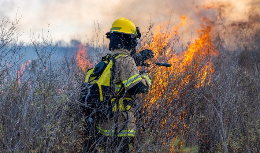 Ir a Relación definitiva del baremo de personas aspirantes a los puestos de bombero/a forestal coordinador/a