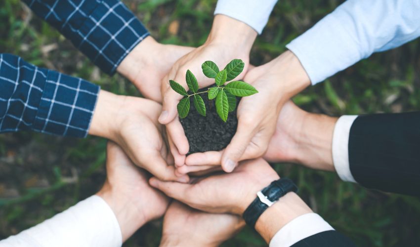 Ir a AGENEX oferta varios puestos de técnicos/a de proyectos europeos y de transformación comunitaria