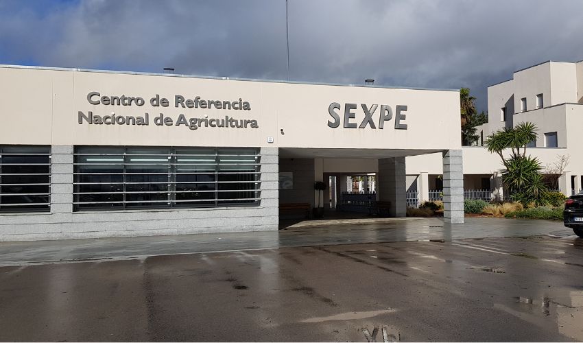 Ir a El C.F. de Don Benito difunde la nueva programación de cursos para el 2025