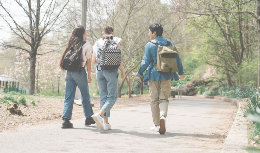 Ir a Programa Colaborativo Rural ATENEO: nueva convocatoria destinada a mejorar la inserción laboral de personas desfavorecidas de zonas rurales