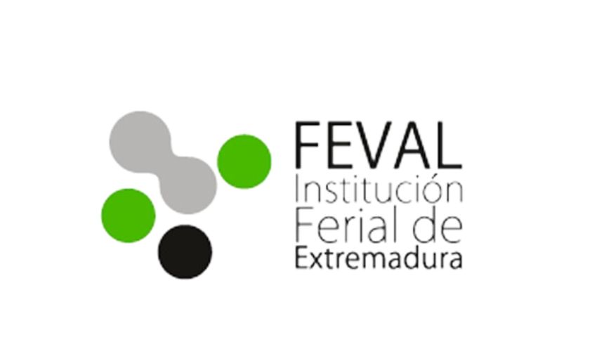 Ir a FEVAL oferta 6 puestos de trabajo: 1 docente para el Plan Formativo y 5 técnicos/as informáticos/as
