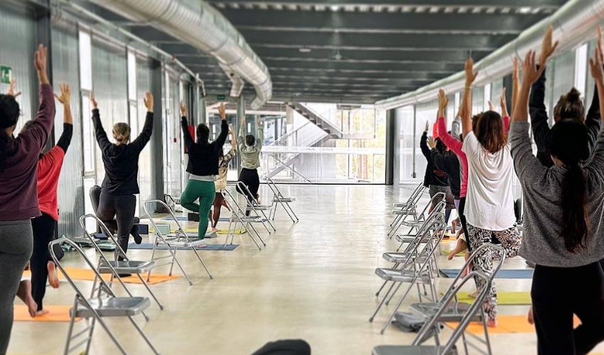 Ir a El Anillo añade nuevos cursos a su programación de 2025 destinada a personas ocupadas 