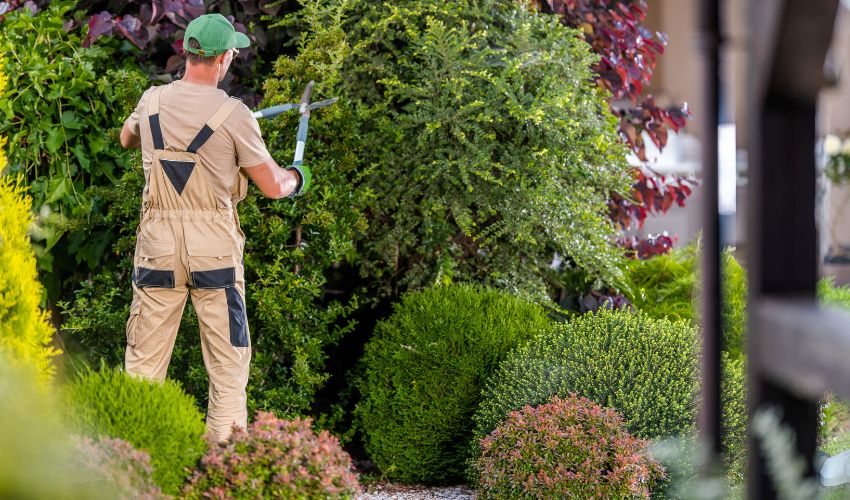 Ir a Difusión pública de ofertas de empleo: monitores/as de jardinería y forestal para proyectos del Programa Colaborativo Rural ATENEO