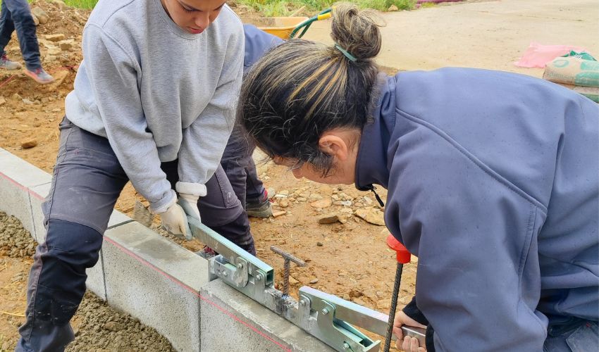 Acuerdos del Consejo de Gobierno: nueva convocatoria de subvenciones del programa de formación y empleo Escala