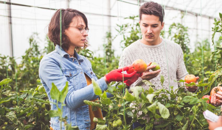 Ir a El SEXPE difunde el resultado provisional del proceso de selección de 2 oficiales de 1ª para la D.G. de Gestión Forestal, Caza y Pesca